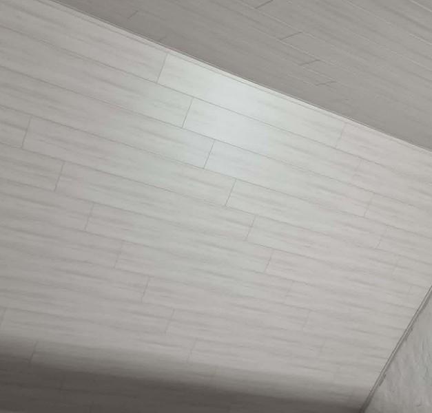 Plafonnage de maison